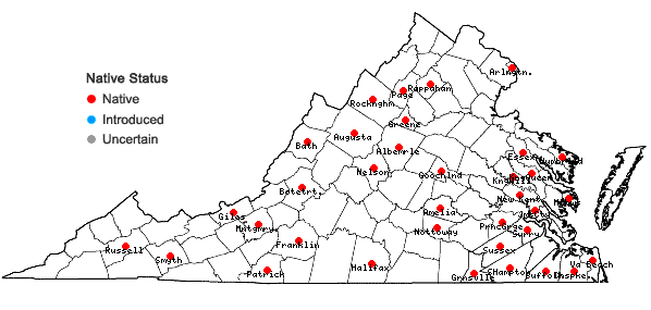 Locations ofFrullania brittoniae A. Evans in Virginia