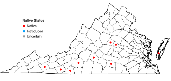 Locations ofFrullania eboracensis Gottsche ssp. virginica (Lehm.) R.M. Schust. in Virginia