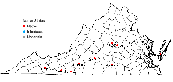Locations ofFrullania eboracensis Gottsche ssp. virginica (Lehm.) R.M. Schust. in Virginia