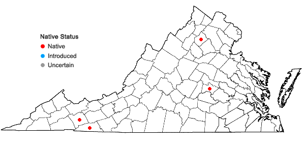 Locations ofFrullania oakesiana Sullivant ssp. oakesiana in Virginia