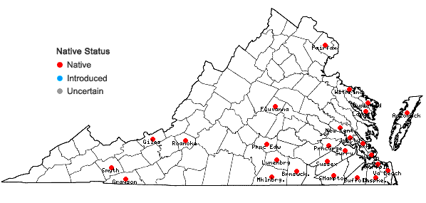Locations ofFuscocephaloziopsis catenulata (Huebener) Vana & Söderstr. in Virginia