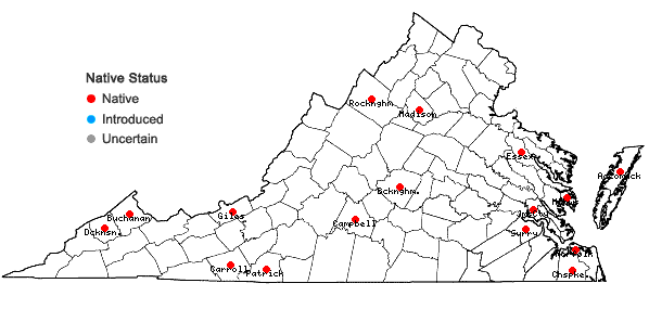Locations ofFuscocephaloziopsis connivens (Dicks.) Vana & Södertsr. in Virginia