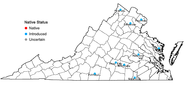 Locations ofGaillardia pulchella Foug. var. pulchella in Virginia