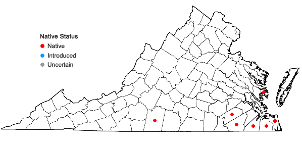 Locations ofGalactia brachypoda Torrey & A. Gray in Virginia