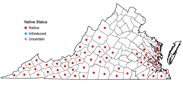 Locations ofGalax urceolata (Poir.) Brummitt in Virginia