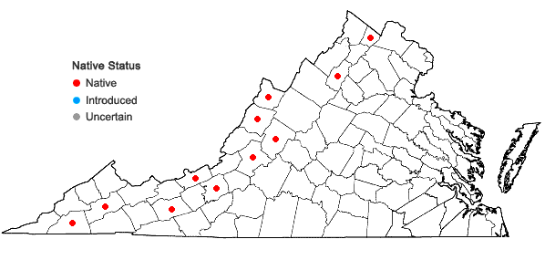 Locations ofGalium boreale L. in Virginia