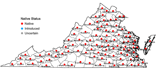 Locations ofGalium circaezans Michx. in Virginia