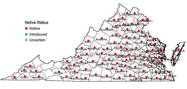 Locations ofGalium pilosum Ait. in Virginia