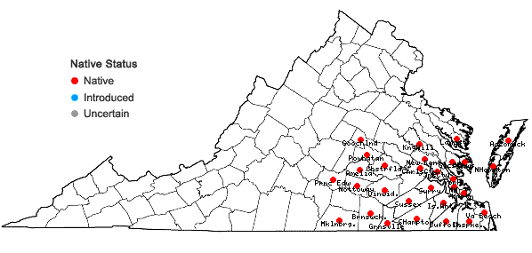 Locations ofGalium uniflorum Michx. in Virginia