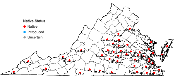 Locations ofGamochaeta argyrinea Nesom in Virginia