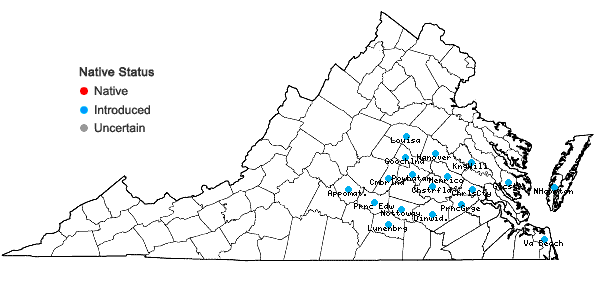 Locations ofGamochaeta coarctata (Willd.) Kerg. in Virginia