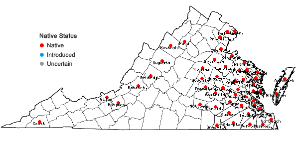 Locations ofGaylussacia frondosa (L.) Torr. & Gray ex Torr. in Virginia