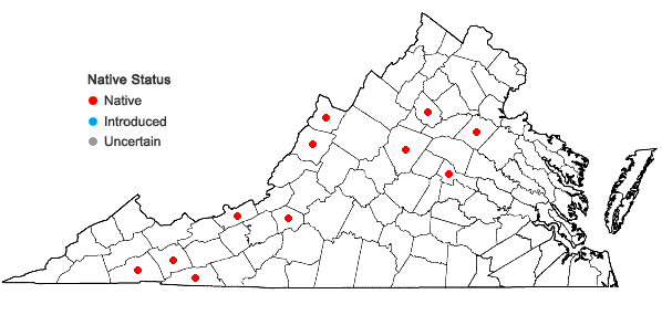 Locations ofGeocalyx graveolens (Schrad.) Nees in Virginia