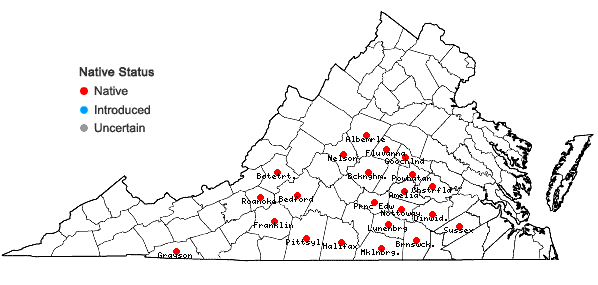 Locations ofGeocarpon glabrum (Michx.) E.E. Schilling in Virginia