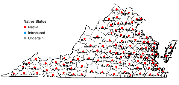 Locations ofGeranium carolinianum L. in Virginia