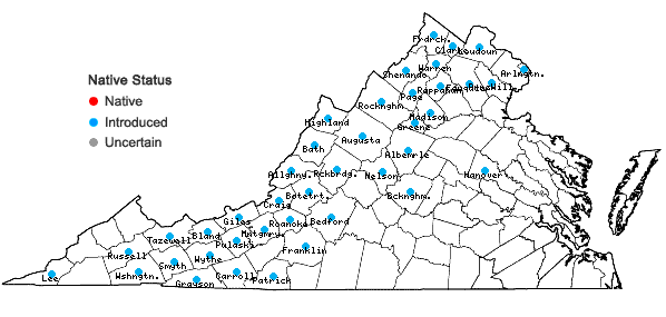Locations ofGeranium columbinum L. in Virginia