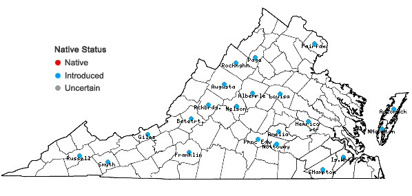 Locations ofGeranium pusillum L. in Virginia