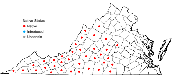 Locations ofGeum fragarioides (Michx.) Smedmark in Virginia