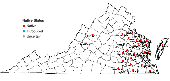 Locations ofGlyceria obtusa (Muhl.) Trin. in Virginia