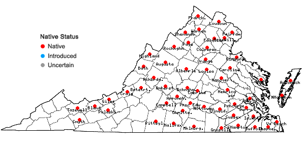 Locations ofGlyceria septentrionalis A.S. Hitchc. in Virginia