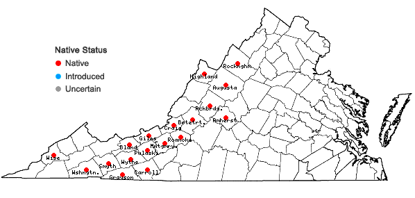 Locations ofGoodyera repens (L.) R.Br. in W. Aiton & W.T. Aiton in Virginia