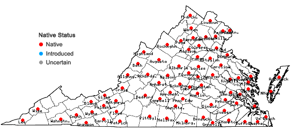 Locations ofGratiola neglecta Torr. in Virginia