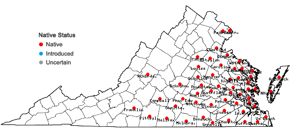 Locations ofGratiola virginiana L. var. virginiana in Virginia
