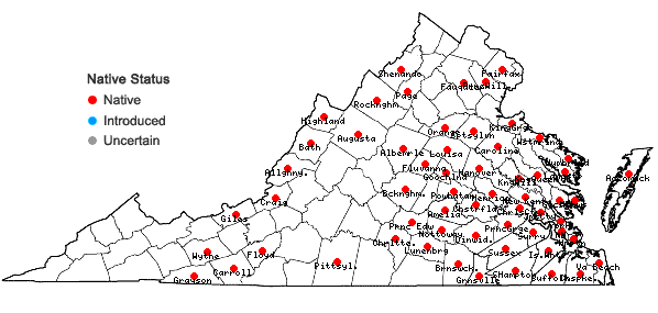 Locations ofGreeneochloa coarctata (Eaton) P.M. Peterson, Soreng, Romasch. & Barberá in Virginia