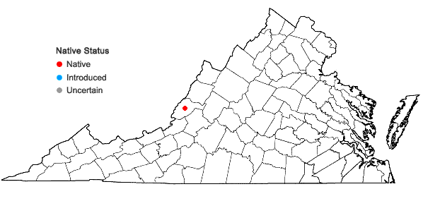 Locations ofGrimmia alpestris (F. Weber & D. Mohr) Schleich. in Virginia
