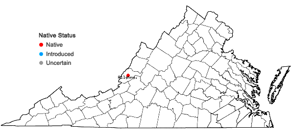 Locations ofGrimmia alpestris (F. Weber & D. Mohr) Schleich. in Virginia