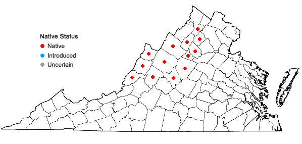 Locations ofGymnocarpium appalachianum Pryer and Haufler in Virginia