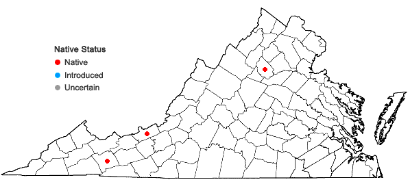 Locations ofHageniella micans (Mitt.) B. C. Tan & Y. Jia in Virginia