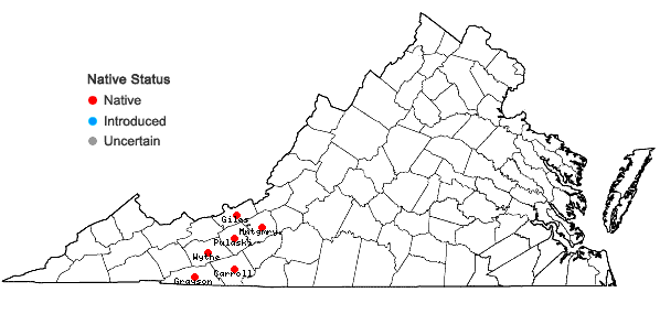 Locations ofHalesia tetraptera Ellis in Virginia