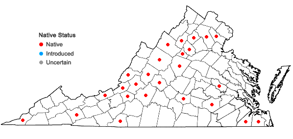 Locations ofHaplocladium virginianum (Brid.) Broth. in Virginia