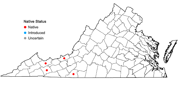 Locations ofHarpanthus scutatus (F. Weber & D. Mohr) Spruce in Virginia