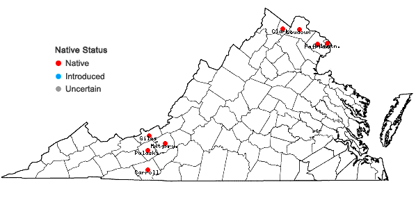 Locations ofHasteola suaveolens (L.) Pojarkova in Virginia