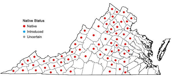 Locations ofHedwigia ciliata (Hedw.) P. Beauv. in Virginia