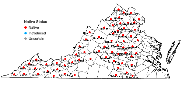 Locations ofHedwigia ciliata (Hedw.) P. Beauv. in Virginia