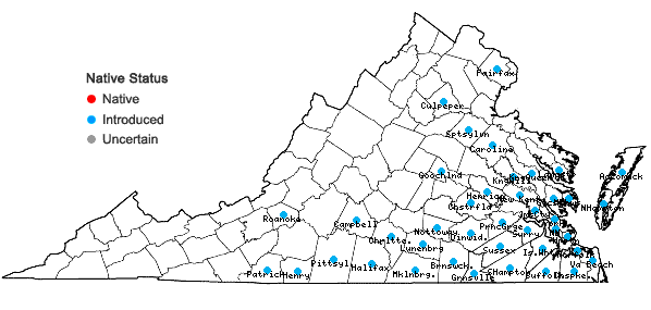 Locations ofHelenium amarum (Raf.) H. Rock var. amarum in Virginia