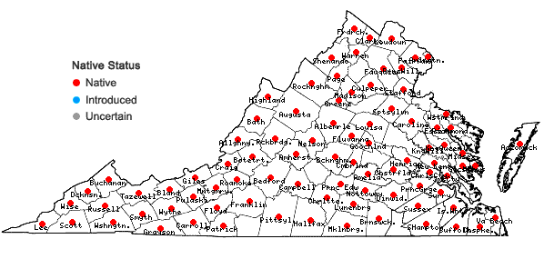 Locations ofHelenium autumnale L. in Virginia