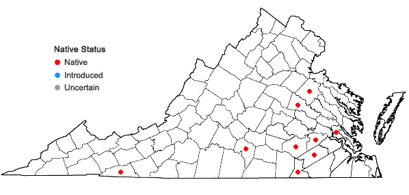 Locations ofHelenium brevifolium (Nutt.) Wood in Virginia