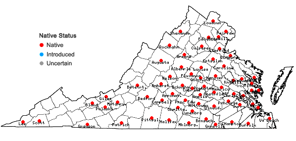 Locations ofHelenium flexuosum Raf. in Virginia