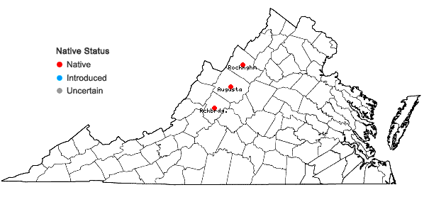 Locations ofHelenium virginicum Blake in Virginia