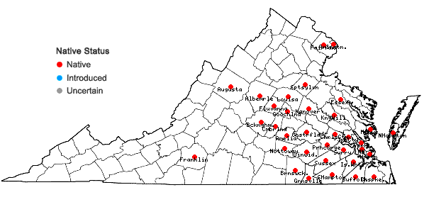 Locations ofHelianthus angustifolius L. in Virginia