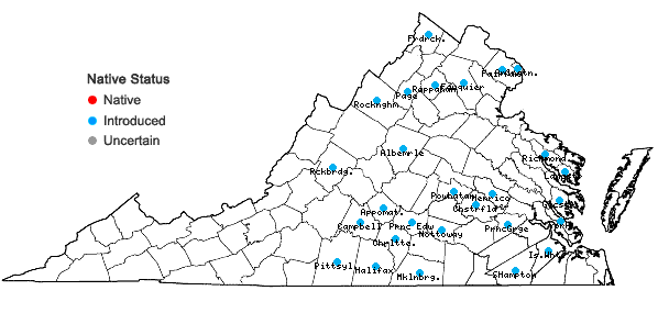 Locations ofHelianthus annuus L. in Virginia