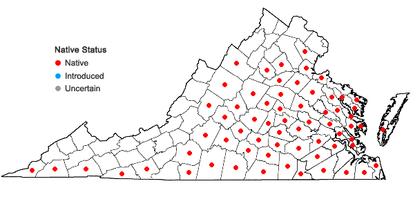 Locations ofHelianthus atrorubens L. in Virginia