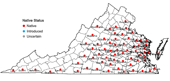 Locations ofHelianthus atrorubens L. in Virginia