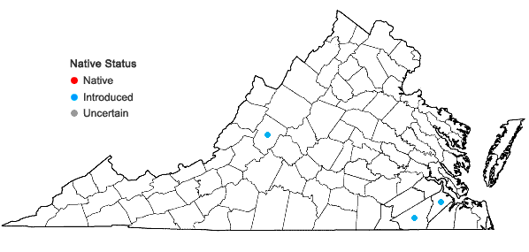 Locations ofHelianthus debilis Nutt. ssp. cucumerifolius (Torr. & Gray) Heiser in Virginia