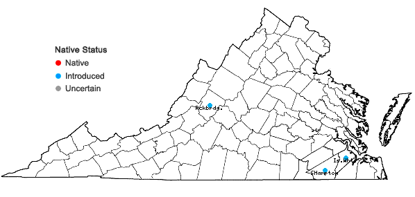 Locations ofHelianthus debilis Nutt. ssp. cucumerifolius (Torr. & Gray) Heiser in Virginia