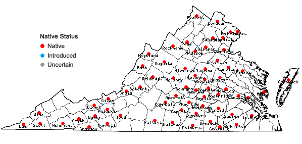 Locations ofHelianthus giganteus L. in Virginia